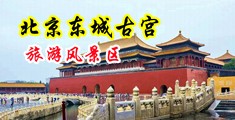 男操女在线高清观看视频www中国北京-东城古宫旅游风景区